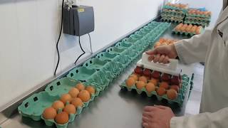 Butlers Organic Eggs - Packing Unit