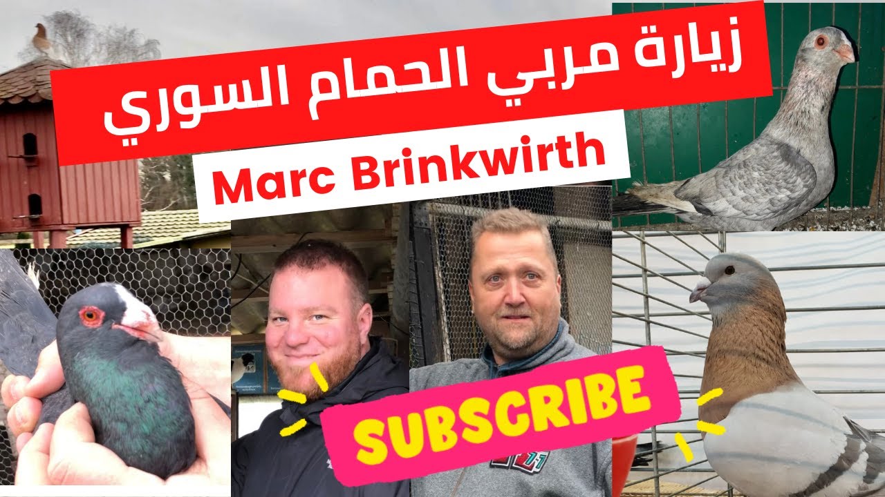 Syrian pigeon Breeder ✌️Marc Brinkwirth🌹🕊❤️ زيارة البطل الالماني المتخصص في الحمام الشامي