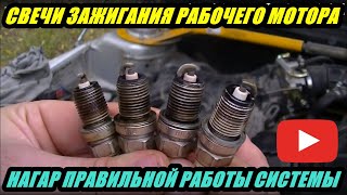 КАКОЙ ДОЛЖЕН БЫТЬ НАГАР СВЕЧЕЙ ЗАЖИГАНИЯ.РАБОЧЕГО ДВИГАТЕЛЯ КАКОЙ ДОЛЖЕН БЫТЬ НАГАР СВЕЧЕЙ ЗАЖИГАНИЯ.РАБОЧЕГО ДВИГАТЕЛЯ