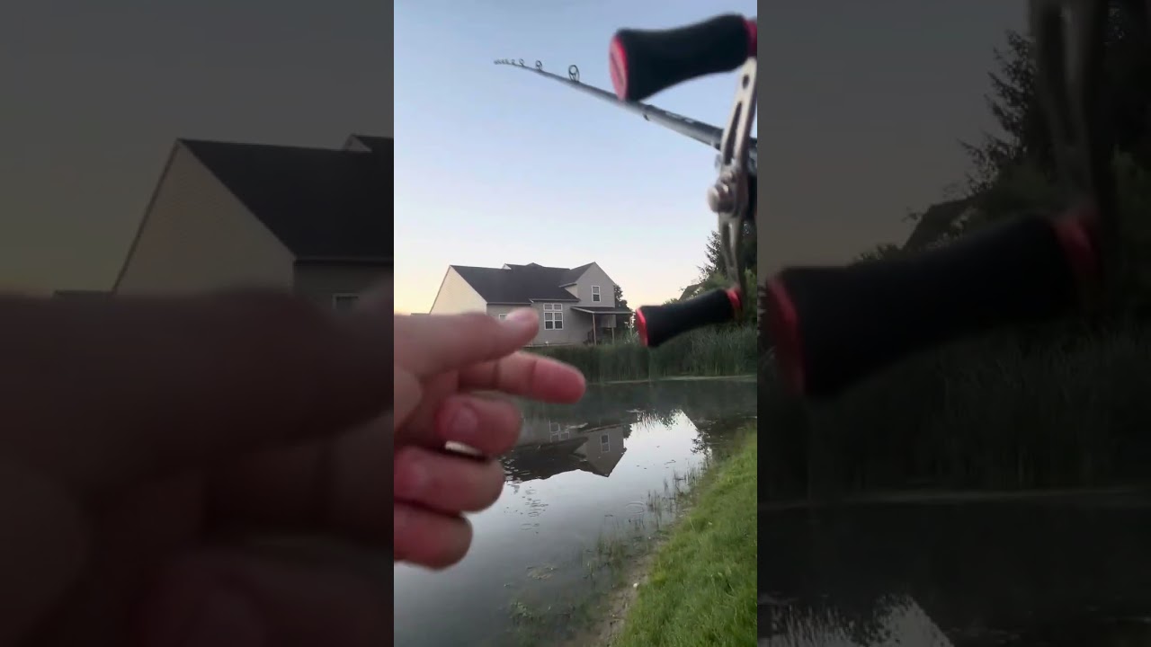 Early morning bass fishing big bass at the end ￼