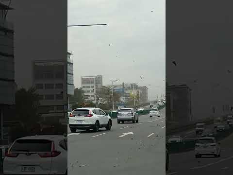 刮怪風 煙塵滿路 睜不開眼