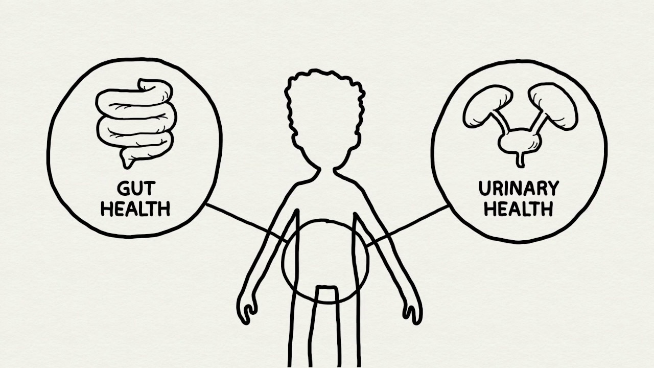 utilitarianism meaning SunCran: The superfood for urinary and digestive health