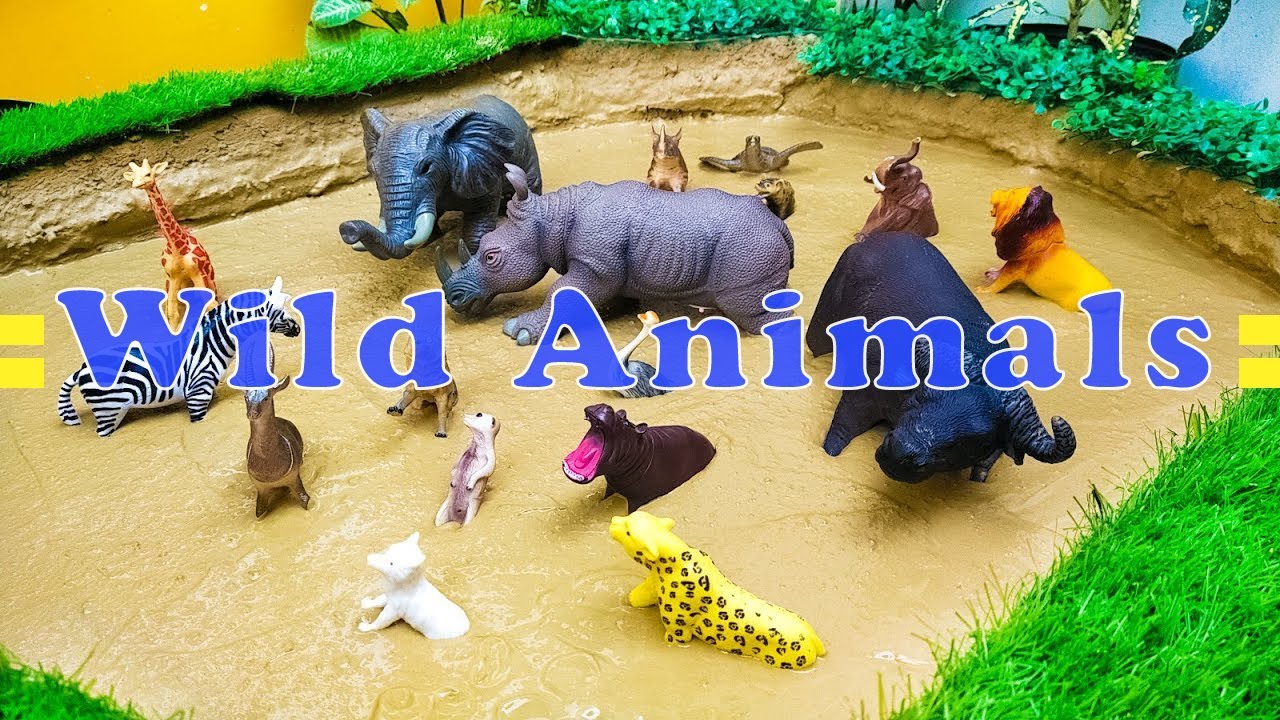 Wild Animals Zoo Animals Safari Animals Stuck in Mud | Rhinoceros Bison Elephant Lion cheetah
