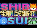 【３月１１日最新版】まだ慌てるな！柴犬コインが上がるタイミングはここ！柴犬コインとSUI【仮想通貨】【チャート分析】