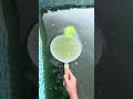 錦鯉の稚魚が大量に！！！ #koi