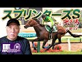 【スプリンターズS】出走馬ジャッジ