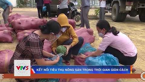 KẾT NỐI TIÊU THỤ NÔNG SẢN TRONG THỜI GIAN GIÃN CÁCH    | VTV5