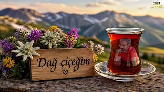 Dağ Çiçeğim ☔ “Yağmurda Islanmış Kimlik Gibiyim\