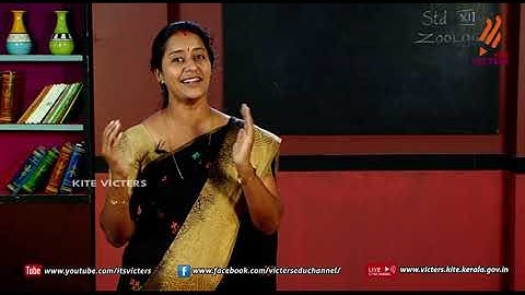 KITE VICTERS Plus two Zoology Class 23 (First Bell-ഫസ്റ്റ് ബെല്‍)