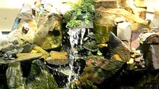600 Sylvan Rd video tour