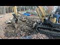 Digging a Oak stump out of rocky ground