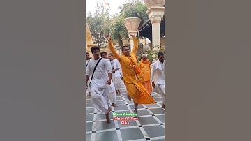 iskcon Vrindavan darshan gurupuja kirtan #iskcon #vrindavan #darshan #kirtan #shorts #viral #krishna