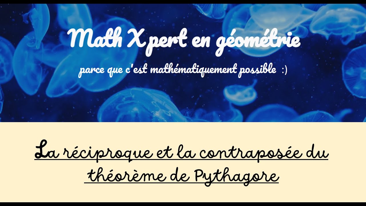 LA GEOMETRIE DES POSSIBLES