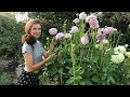 August Allotment Garden Tour 2019 / Homegrown Garden