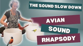 10 Minute Meditation & Sound Bath | Avian Sound Rhapsody