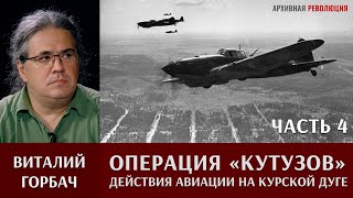 Виталий Горбач о действиях авиации в операции 