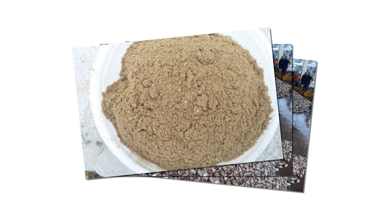 Jual Tepung Ikan Bantul
