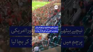 Incredible Moment! Cat Rescued Using a Flag at a Football Stadium | Hamariweb