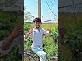 #Video | प्रशासन के राशन | #Raushan Rohi | #Srishti Bharti | Prashasan Ke Rashan | New #Magahi Song