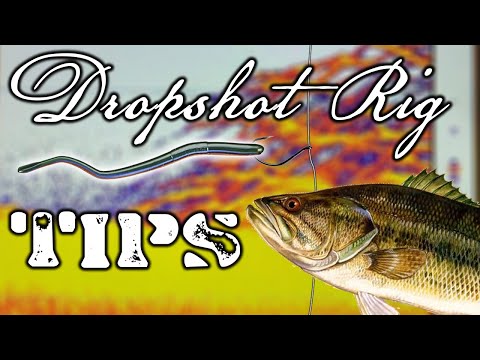 Rig Drop Shot Fishing, Rig Drop Shot Bass
