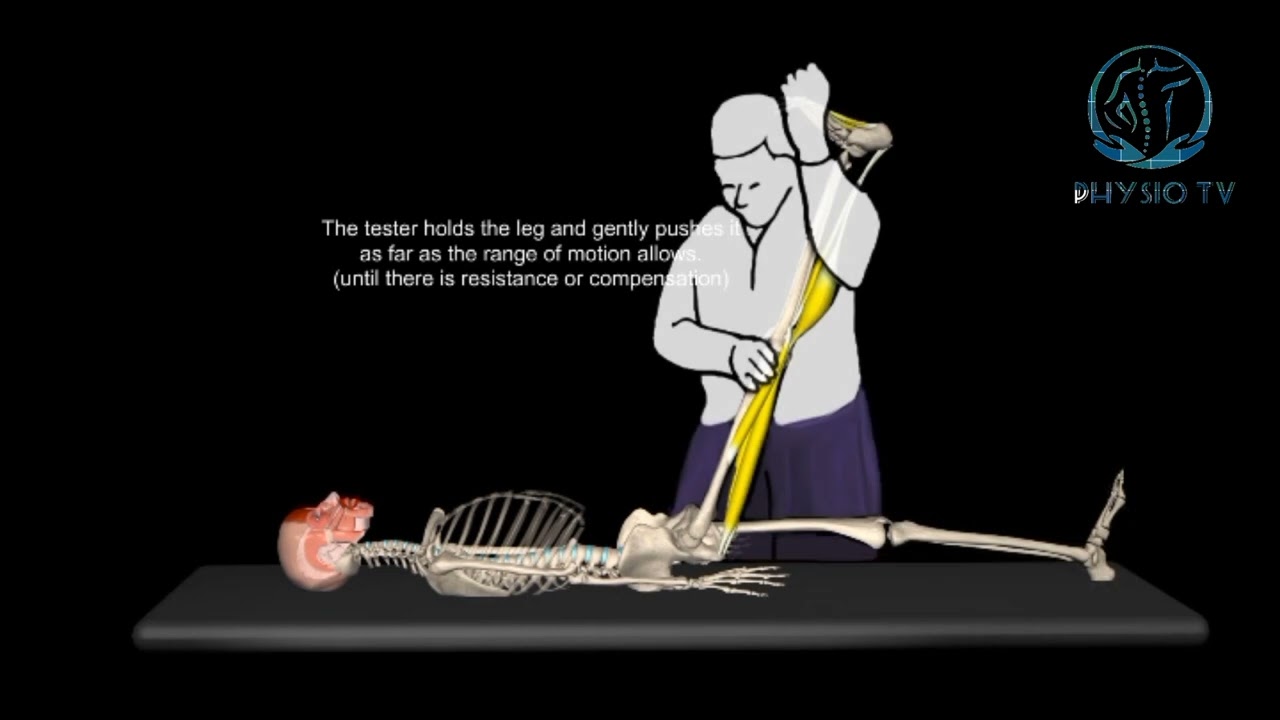 Straight leg raise test in 3d.