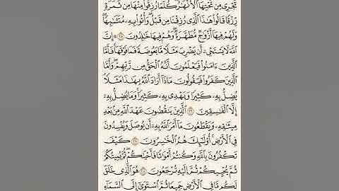 ماهر المعيقلي من سورة البقرة من الآية ٢٦ إلى الآية ٤٣ Maher Al-Muaiqly Surat al baqarah ayat 26-43