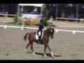 FARINELLI & JENNIFER HOFFMANN, INTERM KUR, '08 USE...