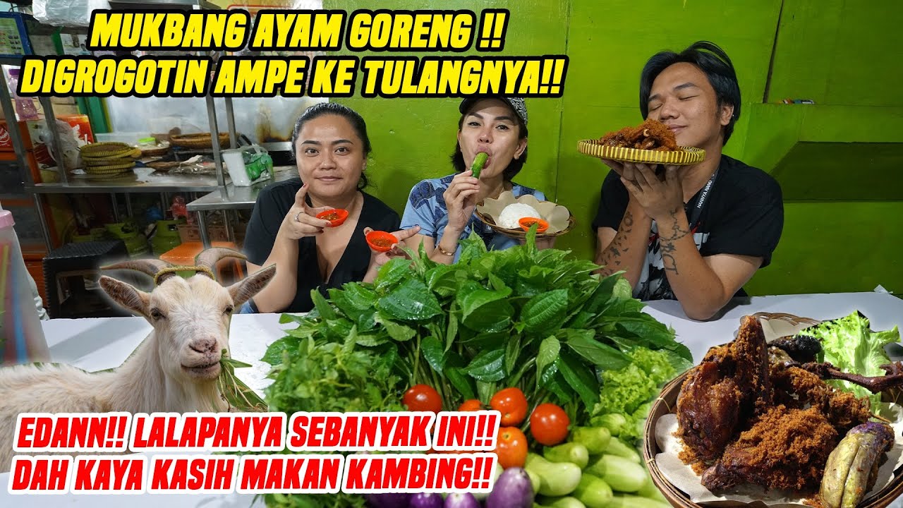 GROGOTIN AMPE LUDESS !! AYAM INI LEBIH LEBIH DARI AYAM KAMPUSS RASANYA!!