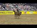 Clarendon College's Weston Timberman with an84.5-point ride to win the bareback national title at