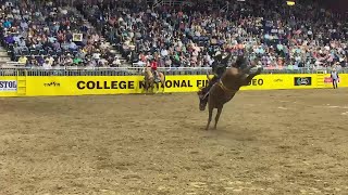 Clarendon College&#39;s Weston Timberman with an84.5-point ride to win the bareback national title at