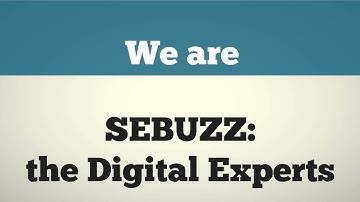 SEBUZZ: Cutting Edge Web Design and SEO