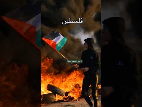 بابار الفيل الفلسطينية    فلسطين   