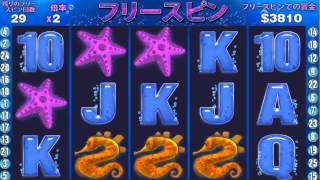 ワイルドジャングルカジノの定番スロットGREATBLUEボーナスでなんと７０万超え！ screenshot 3