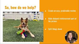 FDSA Workshop Bronagh Daly Control Unleashed Effective End of Run Routines for Agility