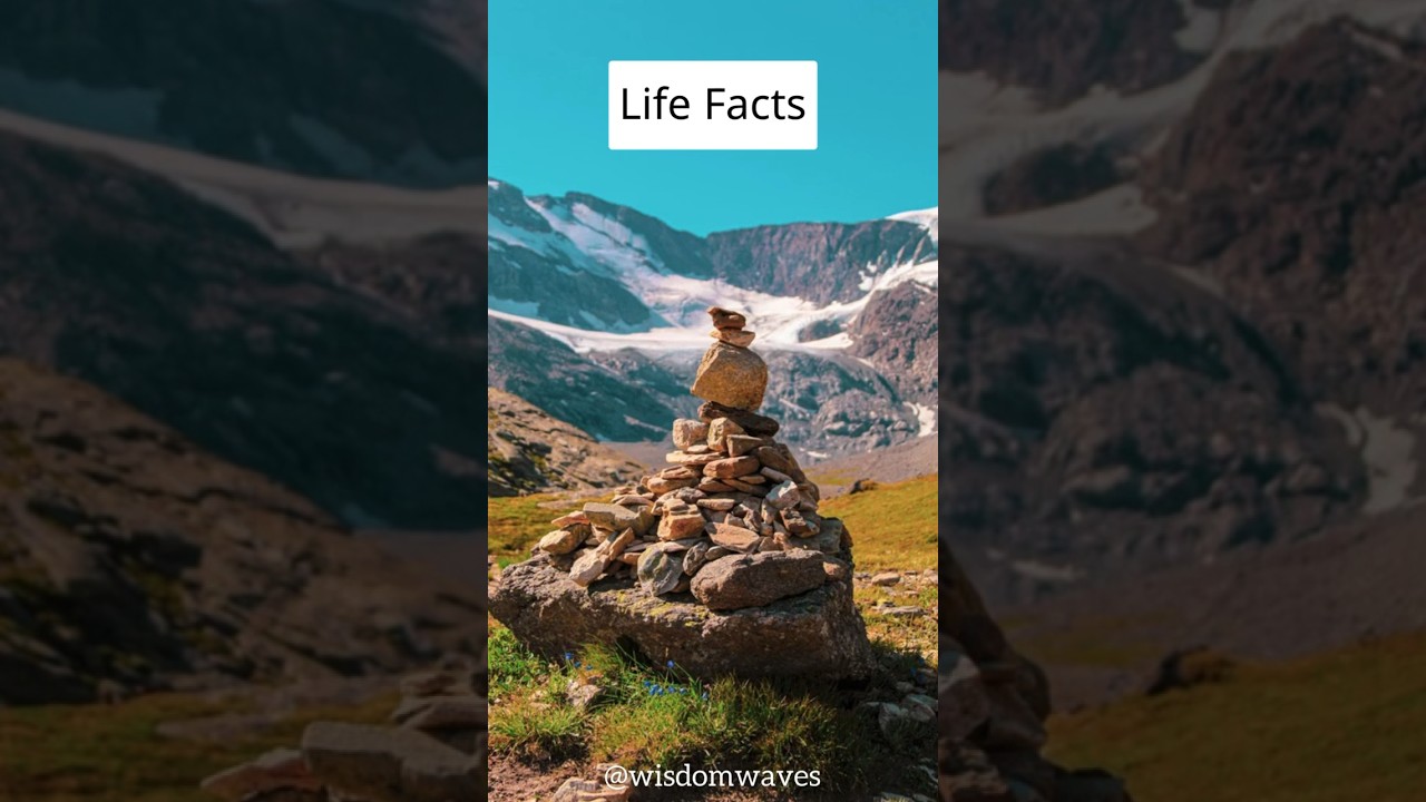 Solitude's Gift: Finding Peace in Life's Quiet Moments 