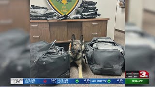 Deputy and K9 Astra achieve major drug busts in Clay County