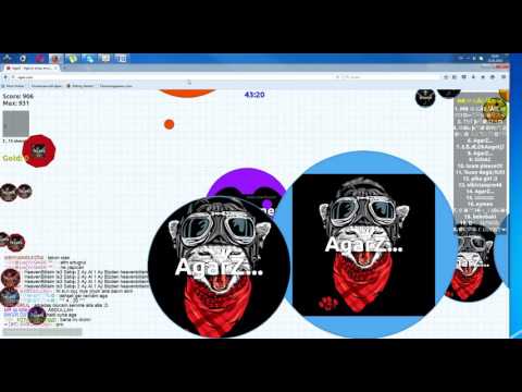 Agarz.com ქართულად sul kill (radgan Descripiton waikitxed)