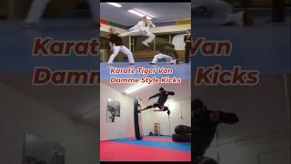 Karate Tiger Van Damme Kicks