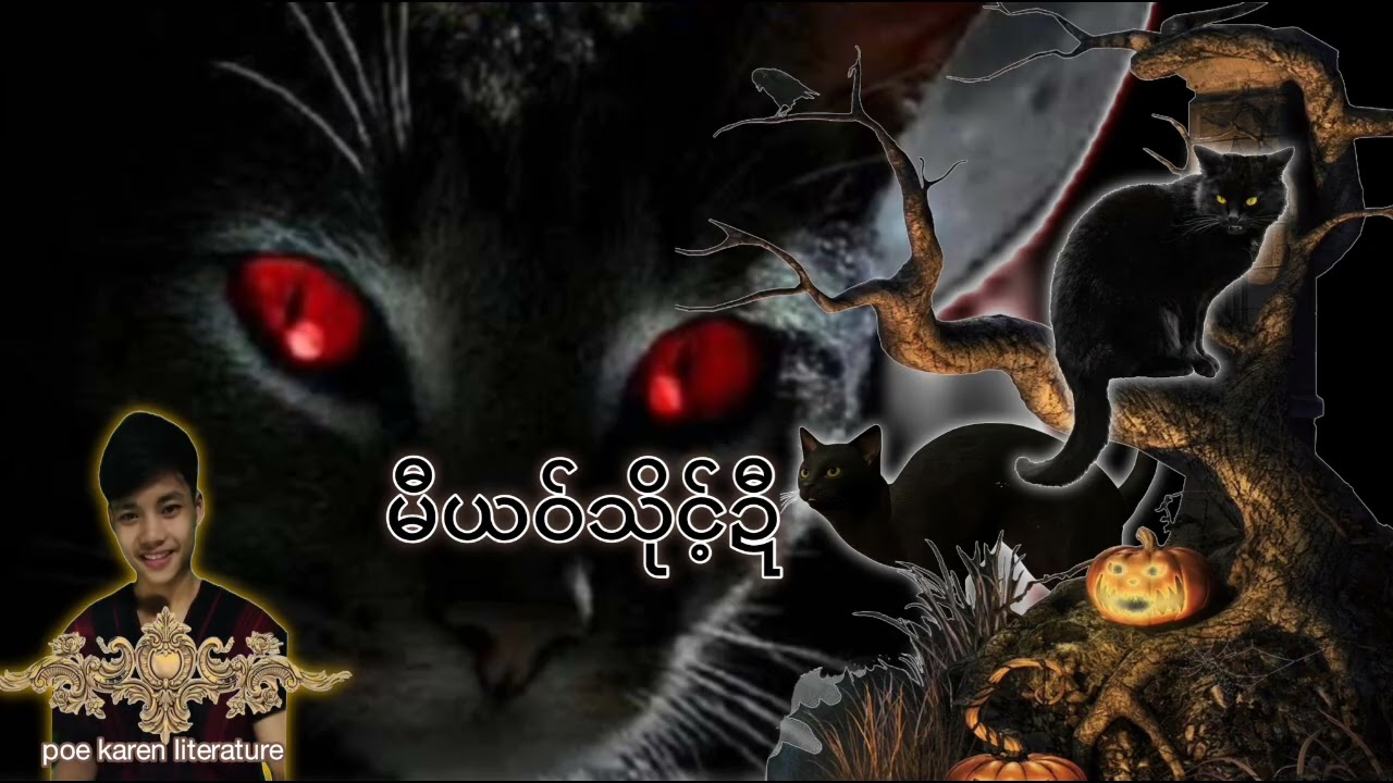 မီယဝ်သိုင့်ဍီ(1)poe karen literature