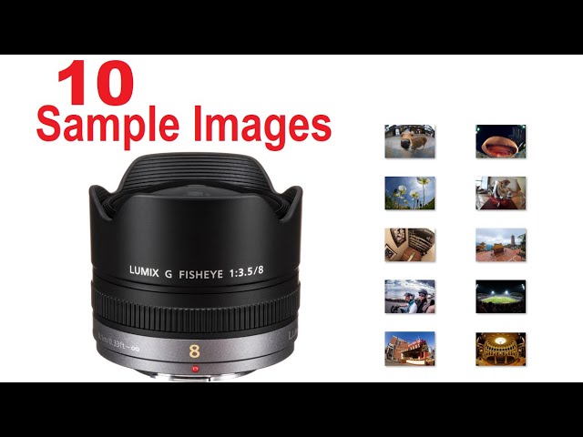 ★極上品★ LUMIX G FISHEYE 8mm F3.5 Amazon.com : PANASONIC LUMIX G FISHEYE Lens, 8MM, F3.5, MIRRORLESS