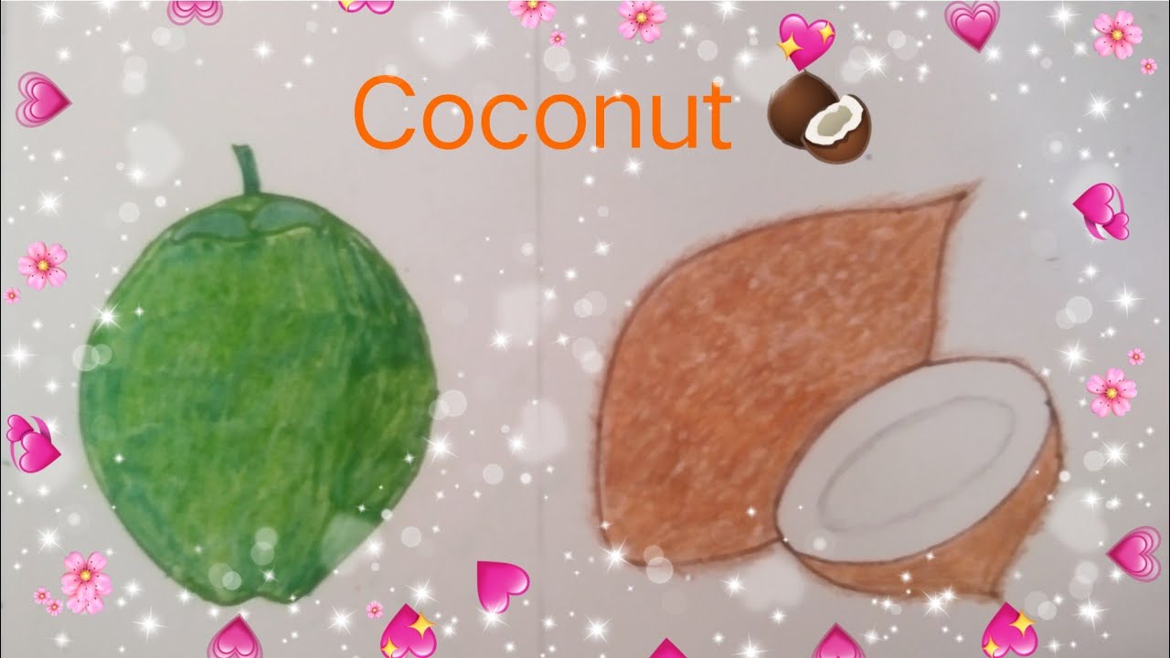 How to draw a Coconut 🥥 with pencil and Colour ( step by step )Easy