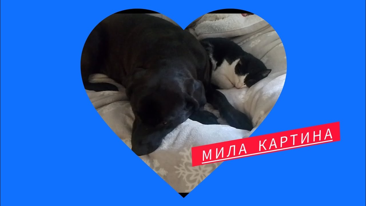 Відповідаю на питання