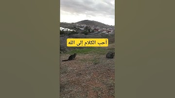 أحب الكلام إلى الله #صلوا_على_النبي #دعاء_مستجاب #اذكار_المساء #اكسبلور #دعاء_الرزق #اذكار_الصباح
