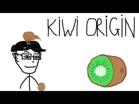 Kiwi fruit origin