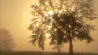 Enrico Toselli - Serenata chords