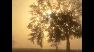 Enrico Toselli - Serenata