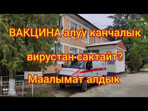 Video: Күчүктөр: Коомдоштукка каршы эмдөө