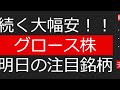 続く大幅安！！グロース株！！明日の注目銘柄