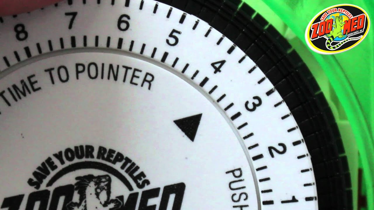Reptile Light Timer | edu.svet.gob.gt