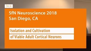 TALK: Isolation and cultivation of viable adult cortical neurons